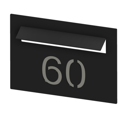 Custom Faceplate