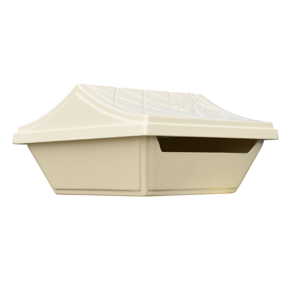 augusta letterbox primrose